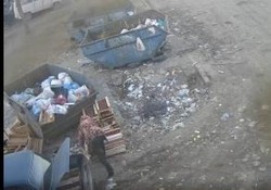 Астраханцу назначили штраф за сброс мусора в неположенном месте