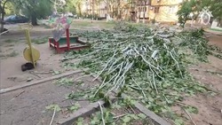 Олег Полумордвинов прокомментировал гибель ребёнка из-за упавшего дерева в Астрахани