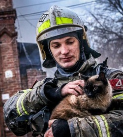 Астраханские пожарные спасли кота из исторического здания