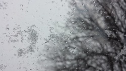 На севере Астраханской области возможны сильные дожди со снегом