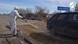 В Астраханской области ликвидируют очаг опасного вирусного заболевания сельхозживотных