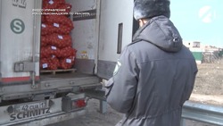 В Астраханской области вырос объём перевозок подкарантинной продукции