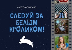 Астраханская библиотека советует идти за белым кроликом