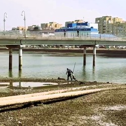 Гигантского толстолобика поймали в обезвоженном канале в Астрахани 