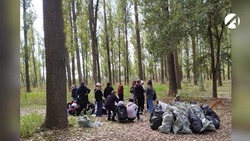 Астраханцы могут присоединиться к сообществу лесных волонтёров