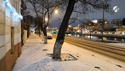 В Астраханской области 11 января снова выпадет снег