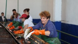 Рыбное производство из Икрянинского района празднует юбилей