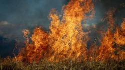В борьбу с тростниковым пожаром в дельте Волги включилась аэрогруппировка МЧС